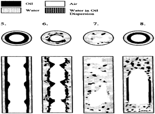 Figure 24. Water-dominated flow regimes 5–8 by Woods et al. (Citation1998).