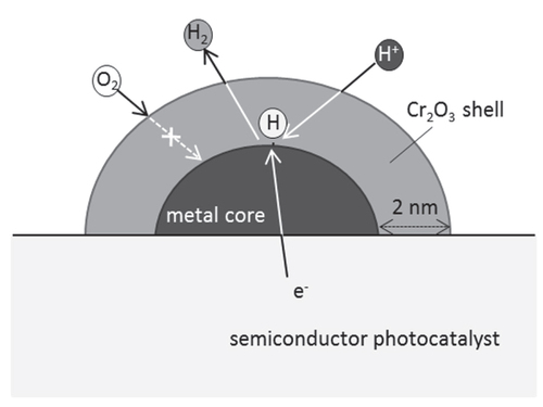 Figure 12. Schematic model of the function of metal-core/Cr2O3-shell cocatalyst for the promotion of overall water splitting.