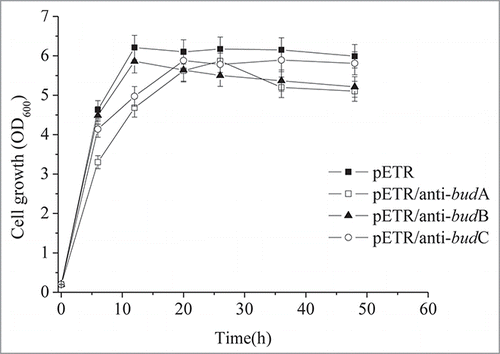 Figure 3. The cellgrowth of the recombinants.