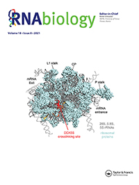 Cover image for RNA Biology, Volume 18, Issue 8, 2021