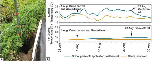 Figure 4. (A) Plastic mulch application caused a thermokarst pit to develop along a fencepost at a farm in Fairbanks, Alaska. (B) The impact of soil heating from a 22-day geotextile mulch application during the 2022 growing season. (Data available at Ward Jones, Gannon, and Jones Citation2024.) Ground heated as much as 7.6°C at the surface and 1.5°C at 1 m depth compared to a carrot crop with no mulch.