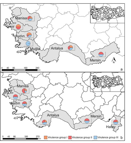 Fig. 1 (Colour online) Fusarium oxysporum f. sp. capsici (Foc) isolate collection across the provinces of Turkey in 2015 (a) and 2016 (b). Pie charts show percent distribution of three virulence groups (based on disease severity values) of the Foc isolates collected from pepper plants per province (see Tables 3 and 4).