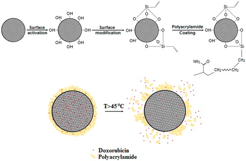 Figure 1. Schematic of the synthesis method and expected mechanism of drug release from the core-shell nanostructure. Rapid melting of protective shell provides preferred trajectories for drug release.