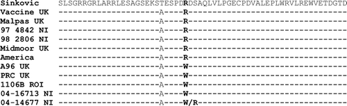 Figure 4.  Amino acid translation of the ILTV sequences shown in Figure 3. The amino acids in bold type are located at the MspI restriction endonuclease site.