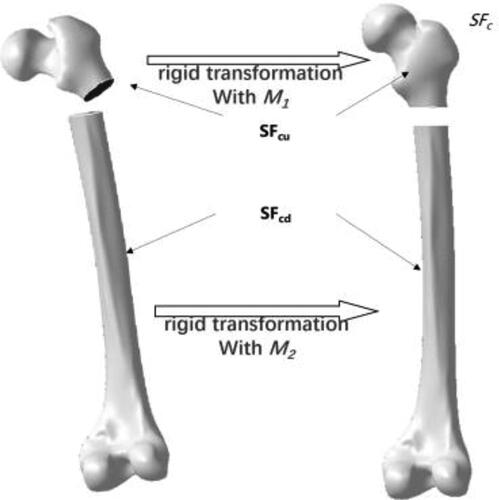 Figure 3. Restore fracture segments based on rigid registrations.