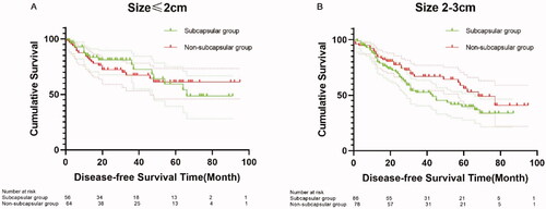 Figure 4. Cumulative DFS in subgroups with HCC diameters of ≤2 cm and 2–3 cm in the matched cohort.