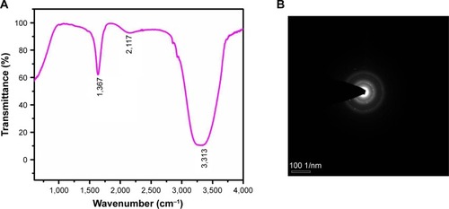 Figure 2 FTIR spectroscopy analysis and SAED pattern of gold nanoparticles synthesized from Cardiospermum halicacabum.Notes: (A) FTIR spectroscopy analysis; (B) SAED pattern.Abbreviations: SAED, selected area diffraction; FTIR, Fourier-transform infrared.
