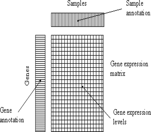 FIGURE 1 Gene expression data matrix. © Mark Reimers/Exploratory Analysis. Reproduced by permission of Mark Reimers/Exploratory Analysis. Permission to reuse must be obtained from the rightsholder.