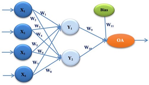 Figure 1. ANN architecture with a single hidden layer (ANN-L12).