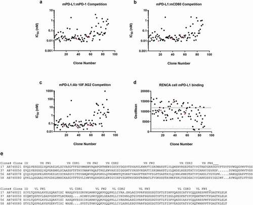 Figure 1. Characterization of antibodies identified from a hybridoma screen in biochemical competition and cell binding assays. Hybridoma clone testing in the (a) mouse PD-L1–mouse CD80, (b) mouse PD-L1–mouse PD-1, and (c) mouse PD-L1–mAb 10 F.9G2 competition assays. (d) Of the inhibitory antibodies, 85 bound mouse PD-L1–positive Renca cells by flow cytometry with geomean fluorescence above the negative control. The dotted lines represent geomean fluorescence binding for the rat IgG2b control antibody (lower panel) and the 10 F.9G2-positive control mAb tested at 20 µg/mL (upper panel). The four IgGs denoted by red triangles (clones 17, 37, 56, and 58) were subcloned into recombinant expression vectors and were expressed and purified for further characterization in vivo. (e) Amino acid sequences of the VH and VL regions of these four clones. Statistical P values indicate one-way analysis of variance with the Dunnet posttest. FW, framework