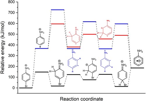 Figure 4. Potential energy surface at the B3LYP/6-31++G∗∗ level of theory of the proton transfer mechanism in 4-Bromoaniline (black) and the two possible mechanism for hydrogen migration in radical cationic aniline: mechanism I (red) and mechanism II (blue). Gibbs energies (at 298 K) in kJ/mol of transition states and intermediates are relative to protonated 4-Bromoaniline.