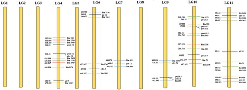 Figure 4. Location of QTLs on the genetic linkage map of pepper developed from the cross Capsicum annuum-007EA and C. frutescens-P1512. The yellow vertical bars are depicted as the linkage groups. The QTLs for the nine horticultural traits are indicated by the black transverse lines, and bin markers by the coloured transverse lines. The bin markers areas are shown between the distances of same colour transverse lines, and genetic distances of QTL and bin marker are shown by the values on the genetic linkage map. The distances among markers are indicated in cM to the left of the linkage groups, and the names of markers and QTLs are shown on the right. Only those bin markers which were in and around the QTL region are shown. None of the QTL for the traits were detected on LG1, LG2, LG5 or LG8.
