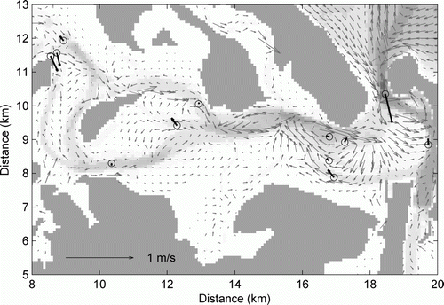 Figure 6  Grey arrows: modelled residual current speed and direction calculated over a 28-day period (the 2006 ‘validation simulation’ period). Solid grey areas indicate dry land and greyscale is water depth. Black arrows with circles: observed residual currents. Note that observed residuals are not measured at the same time or over the same time period as the 28-day model run.