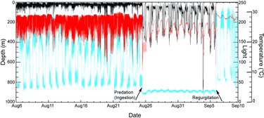 FIGURE 5. Depth (black line), temperature (red line), and light level (blue line) profiles for a Yellowfin Tuna (pop-up satellite archival tag 08A0561; see Table 1), illustrating the change in vertical habitat use after a presumed shark predation event. Times of tag ingestion and subsequent regurgitation are indicated.