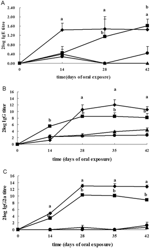 Figure 1.  Effects on OVA-specific antibody levels. Levels of (a) IgE, (b) IgG, and (c) IgG2a response in young female BN and Wistar rats in the period following oral exposure to OVA. OVA was delivered to BN rats (♦) and Wistar (▪) rats on days 1 and 14, and thereafter daily from day 15 to day 42. At the same time, control BN rats (▴) and Wistar rats (•) received the same volume of saline. Data are presented as mean log2 titer (± SD) of six rats per group. a For BN or b Wistar rats, OVA-exposed group significantly differs from the control at p < 0.05.