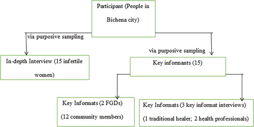 Figure 1. Participants and sampling methods.