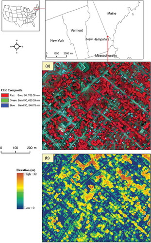 Figure 1. The study site shown as (a) a color composite from the G-LiHT at-sensor reflectance product (bands 80, 50, and 30 as red, green, and blue, respectively) and (b) the LiDAR-CHM product (m, AGL).To view this figure in color, please see the online version.