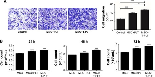 Figure 3 Platelets promote BM-MSCs proliferation and migration.