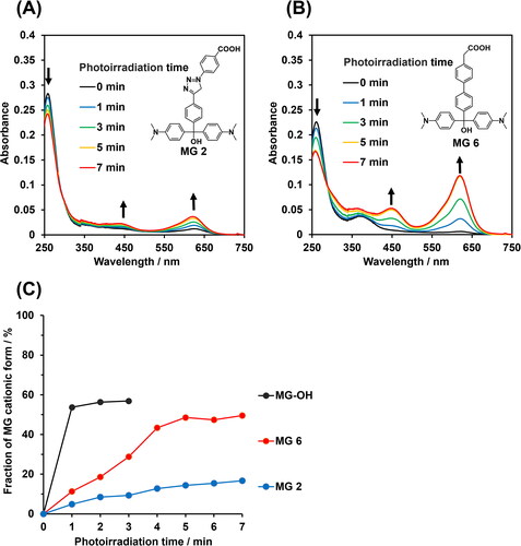 Figure 1. Photoresponsive properties of MG derivatives. (A,B) Absorption spectral changes of 10 µM (A) MG 2 and (B) MG 6 in Britton-Robinson buffer (pH 9.0) supplemented with 1% DMSO upon photoirradiation at 310 nm. Arrows indicate direction of absorbance change as a function of irradiation time. (C) Fractions of MG cationic as a function of photoirradiation time.