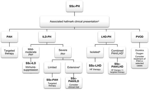 Figure 2 Management of different phenotypes of pulmonary hypertension in SSc. aAs suggested by imaging (HRCT, Echocardiogram), PFT and RHC, see Table 1. bMild-moderate PH includes mPAP < 35 mmHg and normal or mildly dysfunctional RV. cSevere PH includes mPAP ≥35 mmHg and/or RV dysfunction more than mild. dExtensive ILD refers to >20% fibrosis on HRCT, or FVC<70% in indeterminate HRCT. eIsolated LHD refers to DPG<7mmHg and/or PVR≤3WU. fCombined PAH/LHD (pre and post capillary PH) refers to DPG≥7 and/or PVR>3 WU.