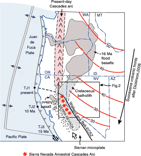 Figure 1 Tectonic setting of the Sierra Nevada. Shown are the locus of the Cretaceous Sierra Nevada batholith and its extension into northwest Nevada, and relicts of the basins active during unroofing of the batholith in Late Cretaceous-to-Tertiary time (dot pattern). Positions of the subduction-related magmatism in Cenozoic time are consistent with sea-floor evidence for subduction off California in Eocene-and-Oligocene time as summarized by Dickinson (Citation2006) who interpreted the SSW-migrating magmatism to represent well-defined arc fronts that followed slab rollback. Sea-floor reconstruction at 15 Ma (Dickinson Citation1997), showing positions of the triple junction at 10 Ma and present. TJ1 marks the present position of the triple junction between the San Andreas fault, the Cascadia subduction zone, and the Mendocino fracture zone. The Sierran microplate lies between the San Andreas fault and the Walker Lane belt, which currently accommodates 20–25% of the plate motion between the North American and Pacific plates (see references in text), and may represent the future plate boundary. This was born at 11 Ma within the Sierra Nevada Ancestral Cascades arc (Putirka and Busby Citation2007) during high-K eruptions at the Little Walker Caldera (L.W., Figure 2).