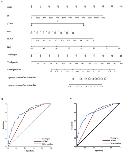 Figure 4 Nomogram models predicting recurrence of patients. (a) Nomogram models predicting 3- and 5-year recurrence. (b) ROC of nomogram model and pTNM stage predicting 3-year recurrence. (c) ROC of nomogram model and pTNM stage predicting 5-year recurrence.