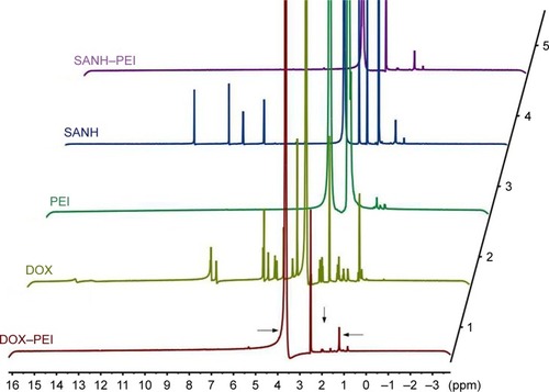 Figure 2 The Citation1H NMR spectrum of PEI, SANH, SANH–PEI, DOX, DOX–PEI.Abbreviations: DOX, doxorubicin; NMR, nuclear magnetic resonance; PEI, polyethyleneimine; SANH, succinimidyl 6-hydrazinonicotinate acetone hydrazine.