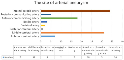 Figure 1 Aneurysm location distribution.