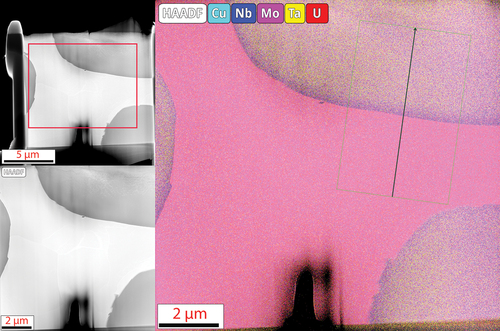 Fig. 6. TEM lamella and EDS overlay map of the MoNbTaU2 alloy. The line scan results are shown in Fig. 7.