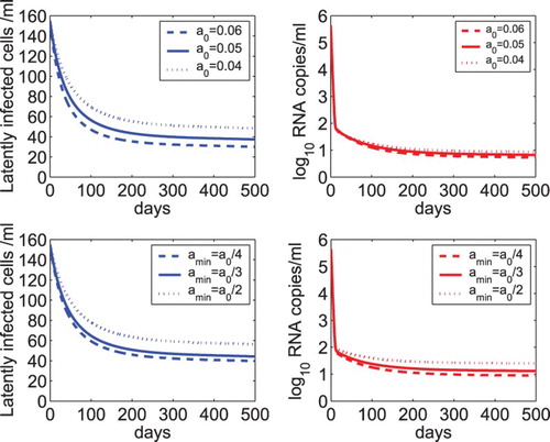 Figure 4. Sensitivity tests of the latent reservoir and viral load on the activation rate of latently infected cells. Upper panel: The dynamics of latently infected cells and viral load predicted by model (Equation2(2) ddtT(t)=λ−dT−(1−ϵRT)kVIT∂∂tL(a,t)+∂∂aL(a,t)=γL(a,t)−α(a)L(a,t)L(0,t)=f(1−ϵRT)kVIT,L(a,0)=L0(a)ddtT∗(t)=(1−f)(1−ϵRT)kVIT−δT∗+∫0∞α(a)L(a,t)daddtVI(t)=(1−ϵPI)NδT∗−cVIddtVNI(t)=ϵPINδT∗−cVNI.(2) ) with different initial activation rates, that is, a0=0.06, 0.05, and 0.04 day−1. Lower panel: The predicted dynamics by model (Equation2(2) ddtT(t)=λ−dT−(1−ϵRT)kVIT∂∂tL(a,t)+∂∂aL(a,t)=γL(a,t)−α(a)L(a,t)L(0,t)=f(1−ϵRT)kVIT,L(a,0)=L0(a)ddtT∗(t)=(1−f)(1−ϵRT)kVIT−δT∗+∫0∞α(a)L(a,t)daddtVI(t)=(1−ϵPI)NδT∗−cVIddtVNI(t)=ϵPINδT∗−cVNI.(2) ) with different minimum activation rates of latently infected cells, that is, amin=a0/4, amin=a0/3, and amin=a0/2, where a0=0.05 day−1. The net generation rate (γ) was assumed to be the same as the minimum activation rate (amin) of latently infected cells. The other parameter values are the same as those listed in Table 1.