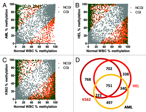 Figure 4. Methylation changes in leukemia. (A) Acute myeloid leukemia bone marrow. (B) HEL erythroleukemia cell line. (C) K562 leukemia cell line. Hypermethylation of CpG islands (CGI, green), hypomethylation outside CpG islands (NCGI, orange). Grey, CpG sites with methylation changes vs healthy leukocytes < 30%. (D) Numbers of genes with CpG sites affected by methylation changes over 30% compared with normal leukocytes.