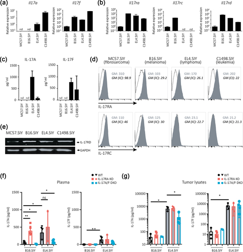 Figure 4. Expression profiles of IL-17A/F:RA pathway cytokines and receptors differ among cell lines and tumors of varying tissue origins.