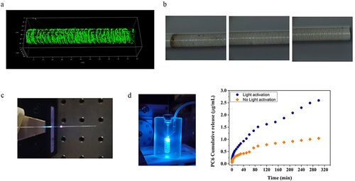 Figure 12 Development of particle loaded seOF-microfluidic integrated systems for light triggered locoregional drug delivery: (a) CLSM and (b) optical microscope image of seOF after PC6 immobilization; (c) image of the assembled seOF; (d) particle loaded seOF microfluidic device integrated with seOF and correspondent particle release profile.