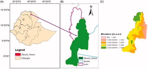 Figure 1. Study area (A-specific location of Desa’a forest in Ethiopia, B-Desa’a forest in relation with Berahle and Astbi district, C- elevation classes of Desa’a forest).