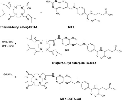 Figure 1 The synthesis pathway of MTX-Gd.