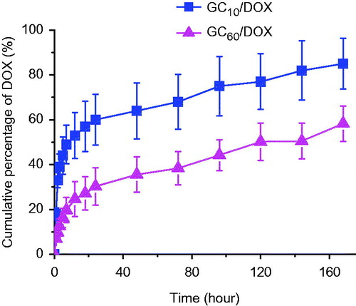 Figure 4. Release behavior of DOX⋅HCl in GC10/DOX and GC60/DOX by visible light irradiation for 10 or 60 s for 7 days in neutral PBS (pH 7.4). Error bars represent mean ± SD (n = 3); these experiments were repeated three times.