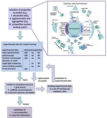 Figure 6 AI toolbox for understanding bio-physicochemical identity at the nano–bio interface.