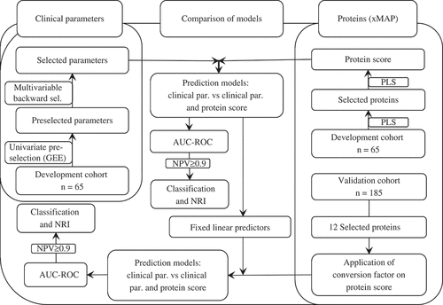 Figure 1. Overview of statistical analyses. The pathways denoted by black–dotted and grey–straight lines represent the analyses performed in the development and validation steps, respectively. AUC-ROC, area under the receiving operating characteristic curve; GEE, generalized estimation equations; NPV, negative predictive value; NRI, net reclassification index; PLS, partial least squares; par., parameters; sel., selection.