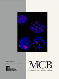 Cover image for Molecular and Cellular Biology, Volume 41, Issue 8, 2021