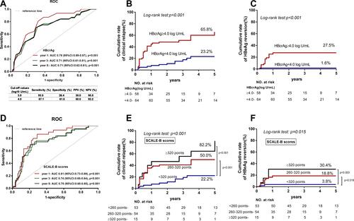 Figure 2 ROC curves of HBcrAg and SCALE-B scores to predict clinical relapse after discontinuation of NA therapy. (A) Respective AUCs of HBcrAg for predicting of clinical relapse after NA discontinuation at 1, 3, and 5 years were 0.78 (p < 0.001), 0.71 (p < 0.001) and 0.71 (p<0.001). (B) In stratification analysis EOT HBcrAg level ≥ 4.0 log10 U/mL was associated with a higher risk of clinical relapse (65.8% vs 23.2%, p < 0.001). (C) EOT HBcrAg level ≥ 4.0 log10 U/mL was associated with a higher risk of HBeAg reversion (27.5% vs 1.6%, p < 0.001). (D) Respective AUCs of SCALE-scores for predicting of clinical relapse after NA discontinuation at 1, 3, and 5 years were 0.81 (p < 0.001), 0.74 (p < 0.001) and 0.75 (p<0.001). (E) SCALE-B score < 260 points (22.2%) was associated with a lower risk of clinical relapse, compared to 260–320 points (50%, p < 0.001) and ≥ 320 points (82.2%, p < 0.001). (F) SCALE-B score < 260 points (3.8%) was associated with a lower risk of HBeAg reversion, compared to 260–320 points (18.8%, p < 0.001) and ≥ 320 points (30.4%, p < 0.001).