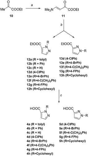 Scheme 1. Synthetic scheme to obtain the title compounds 4a–h and 5d–h. Reagents and Conditions: (a) Me2NCH(OEt)2, CH2Cl2, rt; (b) R-NH2NH2, MeOH, 20–60 °C; (c) NaOH, EtOH, 80 °C.