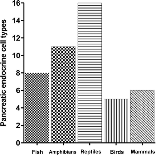 Figure 11. Histograms showing pancreatic endocrine cell types in different groups of vertebrate animals.