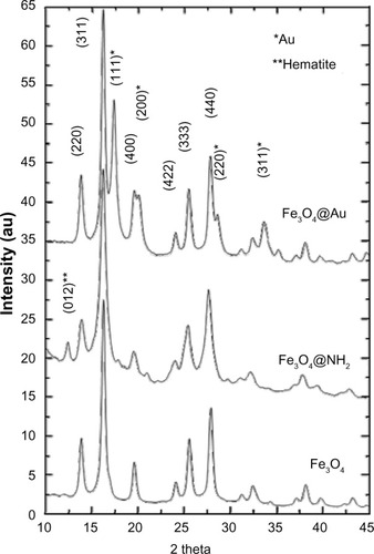 Figure 4 X-ray diffraction patterns of Fe3O4 nanoparticles functionalized with aminosilane (Fe3O4@NH2) or gold (Fe3O4@Au).Abbreviation: au, arbitrary units.