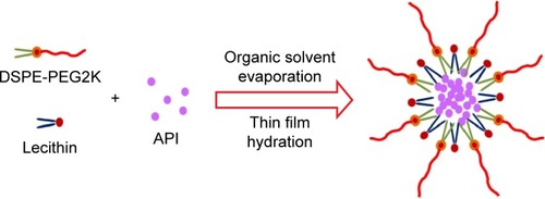 Figure 1 Scheme for preparing amphotericin B-loaded mixed polymeric micelles.Abbreviations: DSPE-PEG2K, 1,2-distearoyl-sn-glycero-3-phosphoethanolamine-N-methoxy(poly(ethylene glycol)-2000; API, active pharmaceutical ingredients.