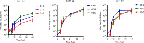 Fig. 4 Growth characteristics of EV71 C1, C2, and B3 strains with a glutamic acid (E), glycine (G), or glutamine (Q) at VP1-145, generated by site-directed mutagenesis, in rhabdomyosarcoma (RD) cells.Data represent the mean 50% cell culture infective dose (CCID50)/ml in two infection experiments + SEM