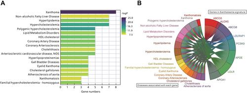 Figure 4 Gene significance of xanthelasma by calculation of GSVA scores. To establish the genetic background of xanthelasma, GSVA scores were calculated, and eight genes, including ABCG5, LDLRAP1, PCSK9, APOA1, ALOX5, ABCG8, LDLR, and APOE, which are related to xanthelasma, were identified (B). Association of xanthelasma-related genes with cardiovascular disease or other lipid-related diseases were also investigated (A).