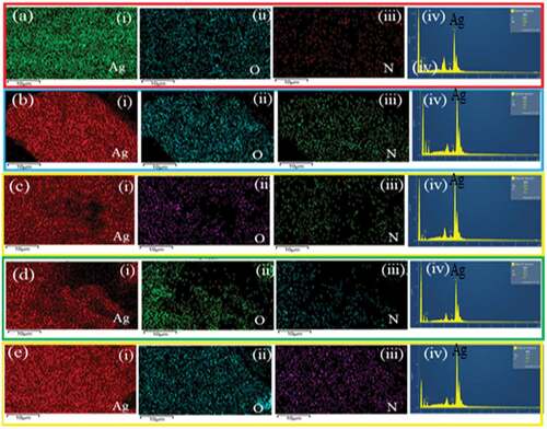 Figure 3. EDX images of (a) 1:3, (b) 1:1, (c) 3:1, (d) 1:1 (leaf) and (e) 1:1 (bark) of Ag-NPs with their corresponding elemental distribution [(i: Ag), (ii: O), (iii: N)] and mapping (iv)].