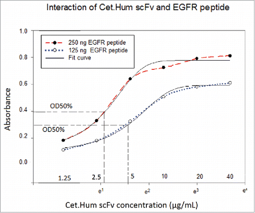 Figure 3. Interaction of EGFR protein and cet.Hum scFv in ELISA. Relatively higher OD values are obtained when EGFR concentration increased from 125 to 250 ng. At both EGFR protein concentrations (250 and 125ng), OD values increase upon increase of Cet.Hum scFv concentration, finally forming a plateau.