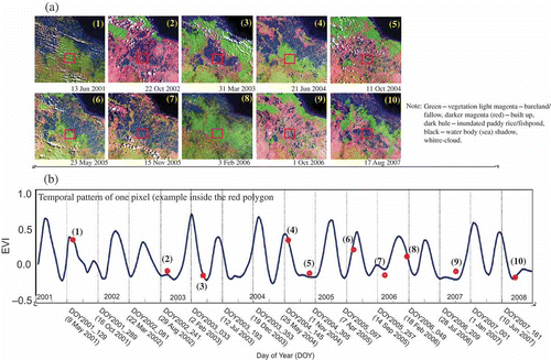 Figure 6. (a) The multiple dates of Landsat Enhanced Thematic Mapper Plus (ETM+) in conjunction with 7-year data sets; (b) temporal pattern of Moderate Resolution Imaging Spectroradiometer (MODIS) enhanced vegetation index (EVI) profile. Note that the EVI profile above is assigned to double a cropping system in an agriculture area. The EVI value of the red rectangle of each image on Figure 6a is located by the red point on Figure 6b.