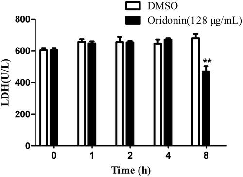 Figure 5. Effect of oridonin (128 μg/mL) on the LDH level of USA300. **p < 0.01 as compared with DMSO group.